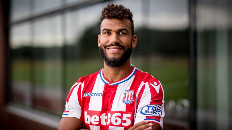 Eric Choupo-Moting, Stoke City